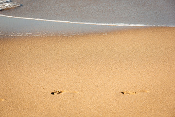 Footprints on the shore of a beach. 