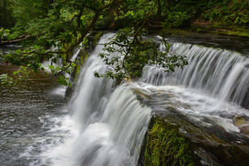 Fototapeta premium Idylliczny krajobraz wodospadu w Walii w Wielkiej Brytanii