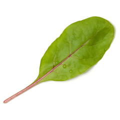 Lettuce chard leaf salad handful isolated on white background. Top view, flat lay.
