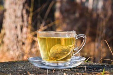 Interesting idea for an autumn drink. Tea with turmeric on a tree trunk in the forest.