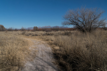 Mesilla Valley Bosque Park,Organ Mountain view.