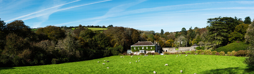 View of fields in English Village, Avon Dam Reservoir, South Brent, Dartmoor Park