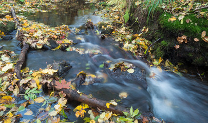 Long exposure magic forest stream cascade creek in autumn with stones, moss, ferns and colorful fallen leaves and trees in luzicke hory lusitian mountain in czech republic