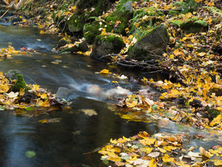 Long exposure magic forest stream cascade creek in autumn with stones, moss, ferns and colorful fallen leaves and trees in luzicke hory lusitian mountain in czech republic