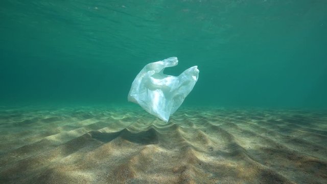 A plastic bag underwater drifts in the sea above a sandy bottom, Mediterranean, France