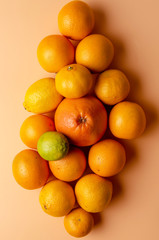 orange, lemon and lime. Image of food product fruit oranges limes and lemons