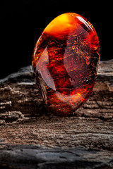 Natural amber. A piece of dark red semi transparent natural amber on piece of stoned wood.