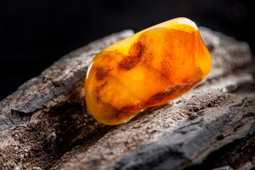 Natural amber. A piece of yellow opaque natural amber on large piece of dark stoned wood.