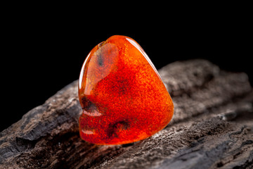 Natural amber. A piece of yellow and red semi transparent natural amber on piece of stoned wood.
