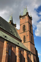 Fototapeta premium Cathedral of Holy Spirit in Hradec Kralove. Czech Republic