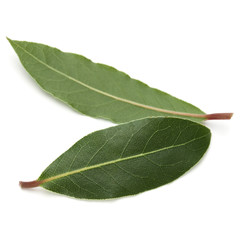 Aromatic bay leaves