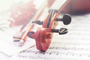 violin and bow, bunch of mountain ash on light background 