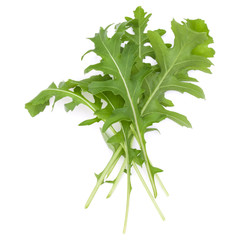 Close up studio shot of green fresh rucola leaves isolated on white background. Rocket salad or arugula.