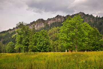 Fototapeta na wymiar Nosal mountain in Kuznice near Zakopane. Poland