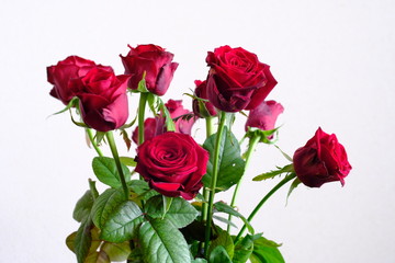 red rose flower arrangement