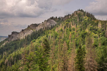 Nosal mountain in Kuznice near Zakopane. Poland