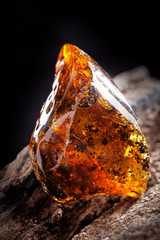 Natural amber stone. A piece of dirty transparent yellow amber on piece of stoned wood.