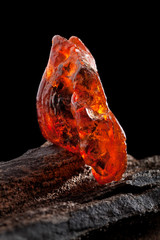 Natural amber. A piece of yellow and red semi transparent natural amber on piece of stoned wood.