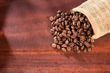 Freshly roasted coffee beans - Coffea