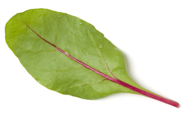 Lettuce chard leaf salad handful isolated on white background. Top view, flat lay.
