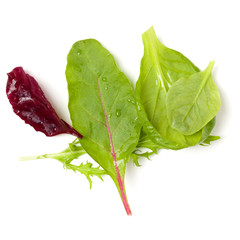 Different salad leaves handful isolated on white background. Top view, flat lay.