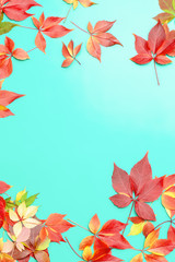 Autumn composition. Frame made of autumn red colourful leaves on blue gradient background. Autumn, fall concept. Flat lay, top view, copy space.