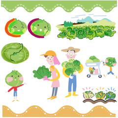 キャベツ　キャベツ農家　イラスト