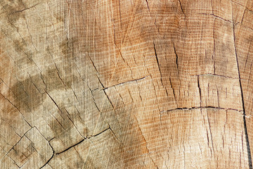 old wood texture