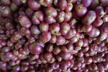 shallot put together as a group small and large and spices cooking shallot fresh from the garden shallot surface background texture nature