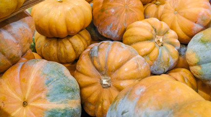 Fresh orange pumpkins for sale in market during autumn. Close up.