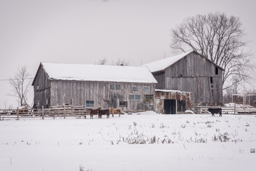 old barn in winter