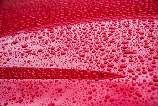 wet hood of red car, covered in raindrops