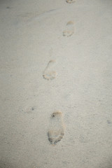 atardecer en los cabos