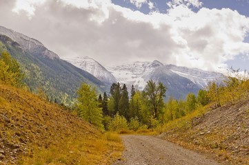 Naklejka premium Snow-covered mountains near Fernie, BC, Canada