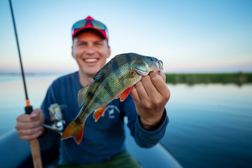 Happy amateur angler holds perch fish (Perca fluviatilis) in one hand and fishing rod in the other. Fisherman showing the fish and smiles being on the lake - obrazy, fototapety, plakaty