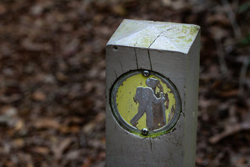 Hiking the Beautiful Trails of Florida State Parks
