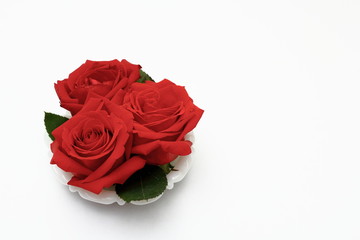 Three red roses on a white background.