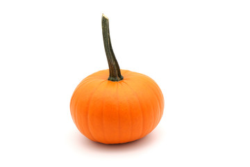 Whole Ripe Pumpkin