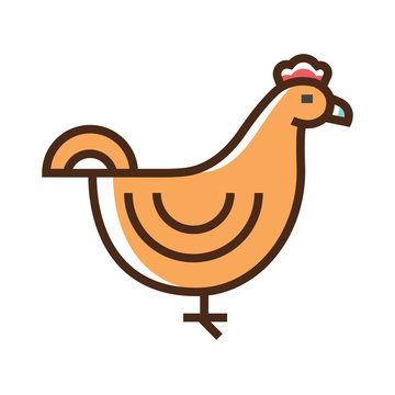 Color icon chicken