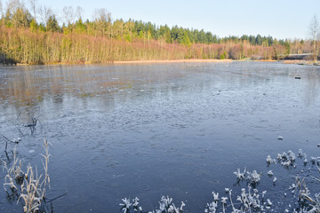 Morning hike at Green timbers regional park, Surrey, BC