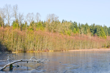 Morning hike at Green timbers regional park, Surrey, BC