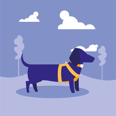 Dog outside vector design