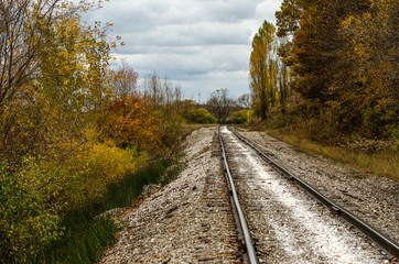 Autumn Colors Follow Railroad Tracks Around a Bend