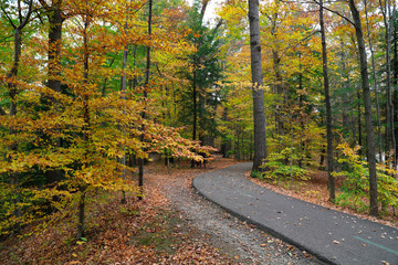 Fototapeta na wymiar Fall scenne at the hiking trail