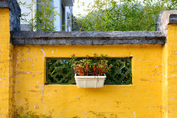 pot plant hanging on the wall