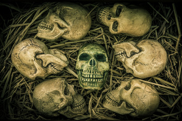 Still Life with human skull