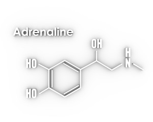 Chemical molecular formula hormone adrenaline. Infographics illustration. 3D rendering