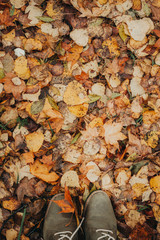 Autumn foliage after a hot summer. Nature, forest, autumn.