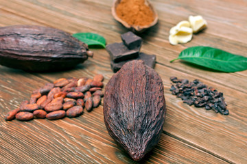 Cocoa pods with green leaves, chopped chocolate bar, cocoa butter, cacao powder, heaps of cocoa beans and cocoa nibs on wooden background.
