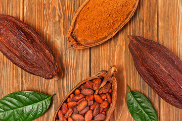 Cocoa beans and cacao powder in halved cocoa pods with green leaves on wooden background. Top view.